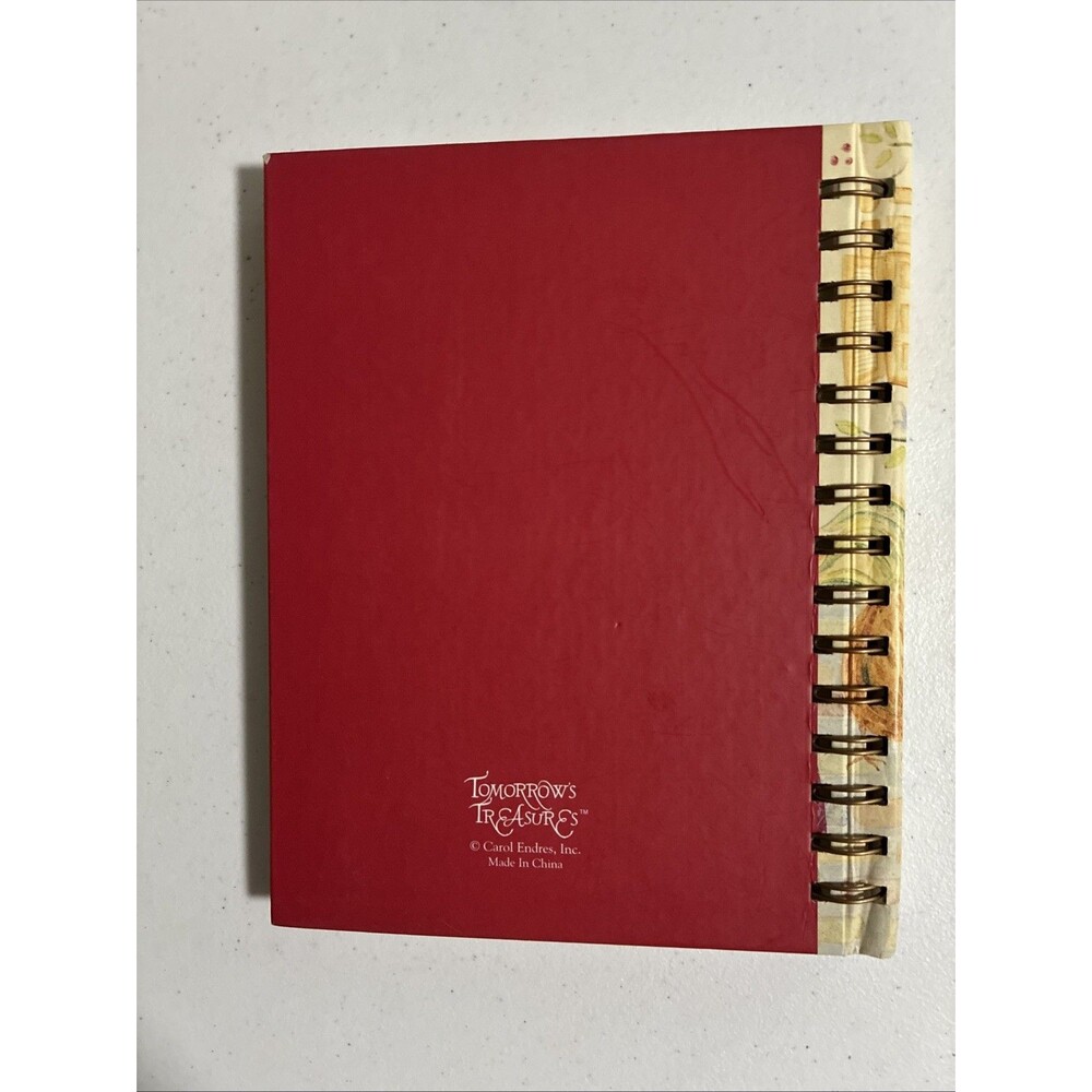 Tomorrows Treasures Carol Endres Journal Diary 200 Lined Page Notebook Spiral HC - Picture 3 of 8